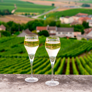 Champagne en wijngaard
